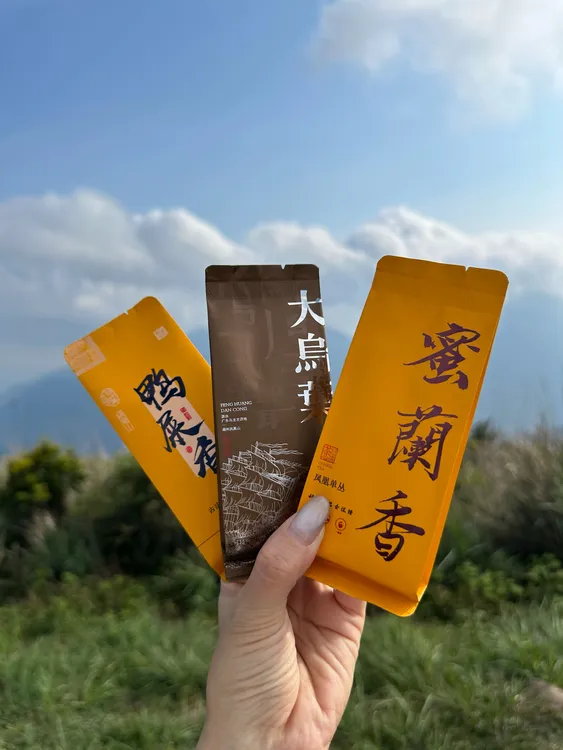 蜜兰香大乌叶鸭屎香茶叶体验装