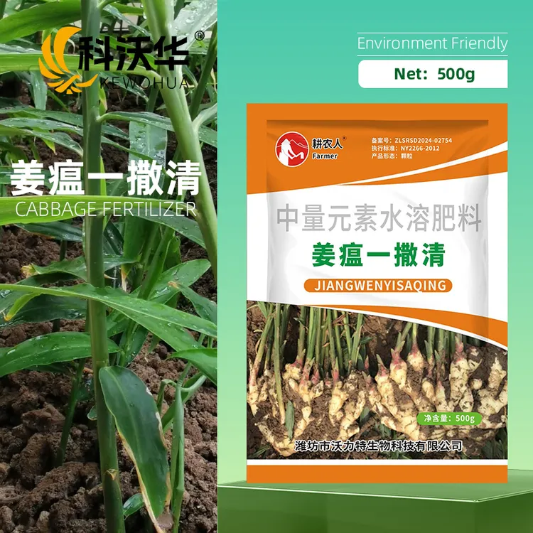 科沃华生姜姜瘟一撒清微生物肥料改善预防姜瘟炭疽叶枯腐烂专用商品图