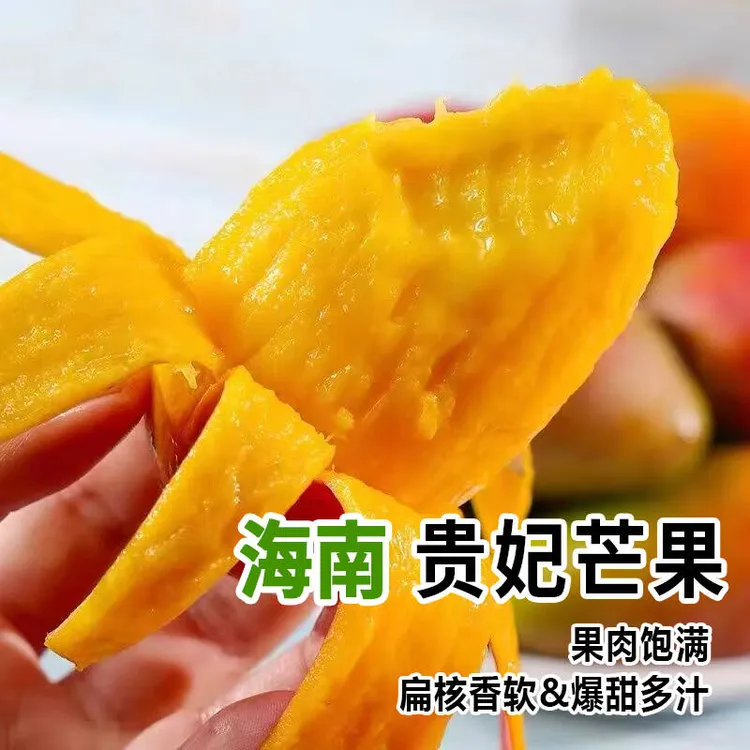 【东三省专属】海南贵妃芒5/9斤装 热带新鲜芒果生果发货催熟食用
