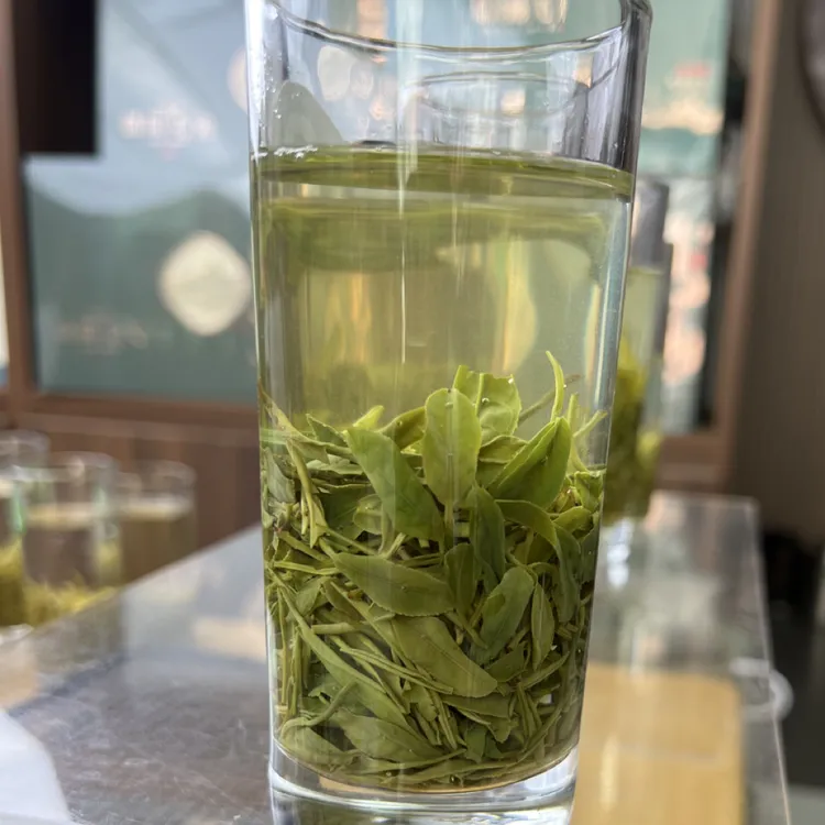  2025信阳毛尖雨前 芽叶口粮茶