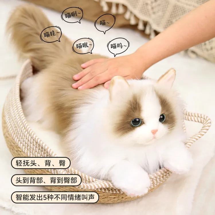 美国卡豆仿真猫咪玩偶猫叫声布偶猫公仔毛绒玩具小猫咪可爱娃娃