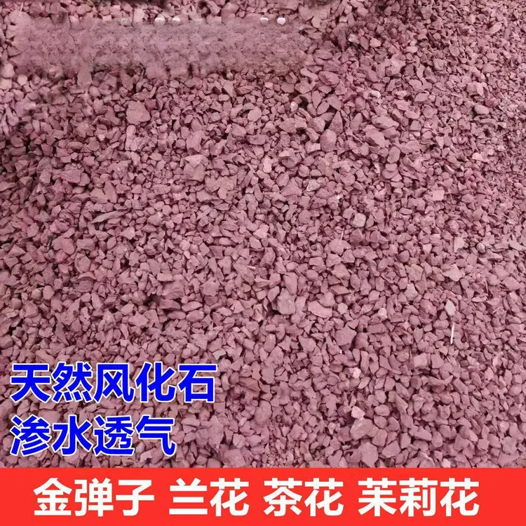天然风化石颗粒营养土兰花茶花茉莉花金弹子专用土透气透水促生根