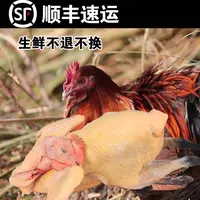 村姑阿香贵州农家两年放养土鸡公鸡