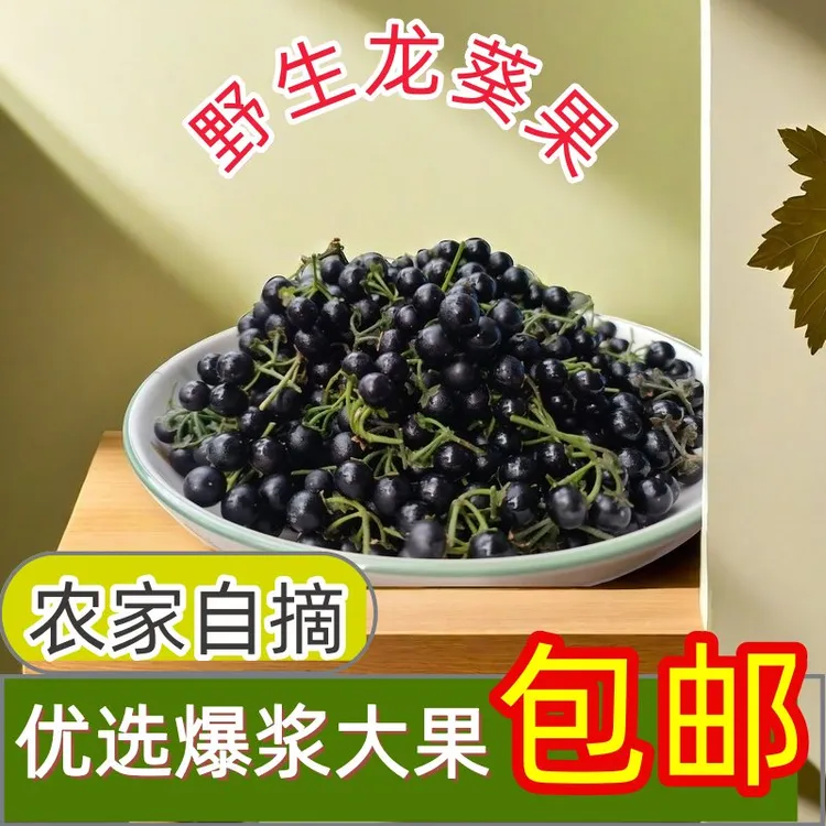黑天天黑星星黑优优东北野果泡酒要用泡酒新鲜采摘水果新鲜浆果