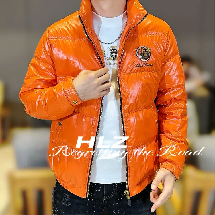 2025冬季新款男士高品质轻奢时尚虎头刺绣图案立领休闲羽绒服外套