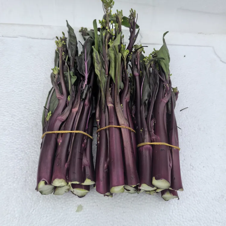 湖北露天种植现摘新鲜红菜苔脆嫩应季蔬菜