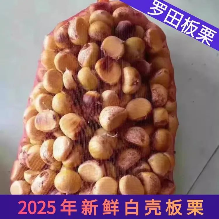 板栗生新鲜2025新鲜下树嫩白花壳罗田栗子现摘现发油栗子应季板栗