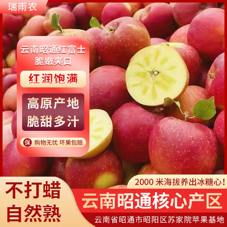 云南昭通丑苹果新鲜应季脆甜多汁冰糖昭通糖心苹果水果现摘红富士
