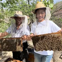 （林林）25年现摇【黄芪蜜】百年黄芪之乡  天冷蜂蜜结晶属于正常现象