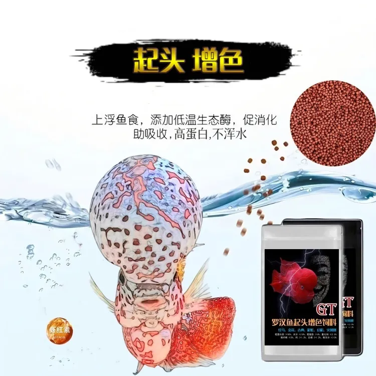 高蛋白上浮型罗汉鱼饲料爆头起头增艳鱼食小颗粒攻头增色鱼粮罗汉鱼专用饲料