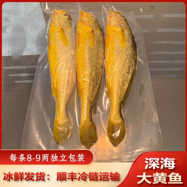 【顺丰空运尝鲜装】一箱3条装 正宗宁德深海大黄鱼夜捕捞冰鲜发货