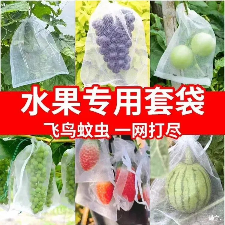 果树防护网袋防虫害水果套袋保护葡萄桃草莓无花果番石榴枇杷