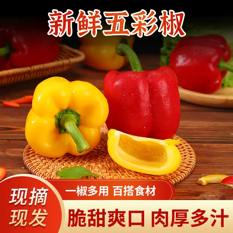 山东现摘新鲜水果五彩椒生吃不辣红椒黄椒灯笼椒圆椒水果彩椒
