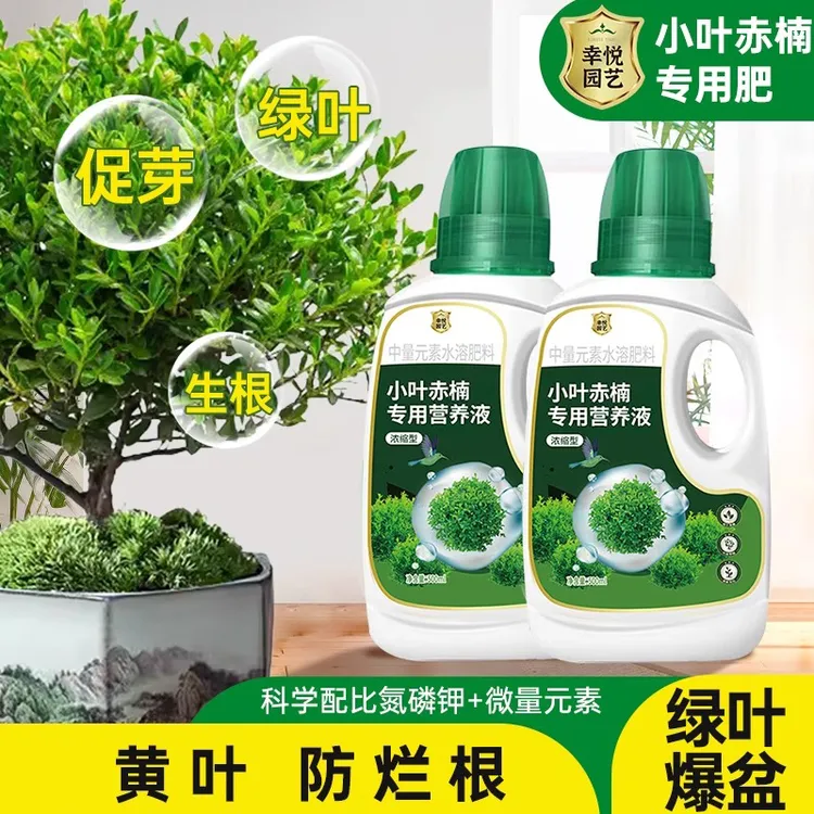 小叶赤楠营养液花肥金丝楠木唐枫小叶紫檀盆景专用肥料水溶液体肥