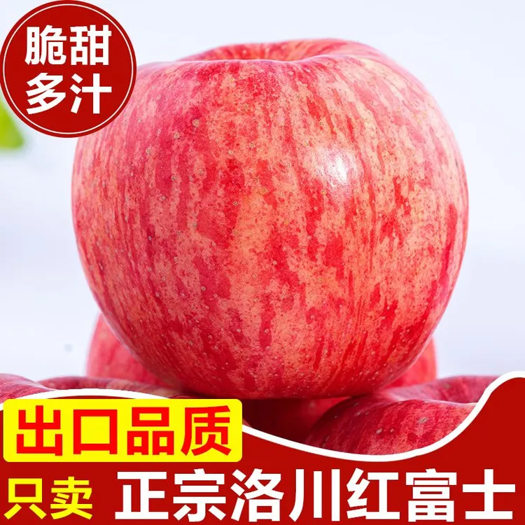 【果臻甜】正宗陕西洛川红富士苹果 皮薄多汁新鲜应季水果产地发货
