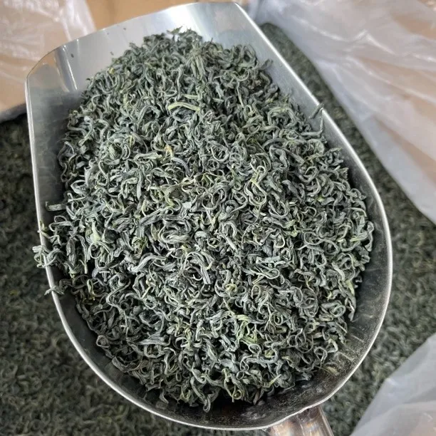 【飞哥家】2025年高山绿茶龟山绿茶雨前茶口粮茶绿茶