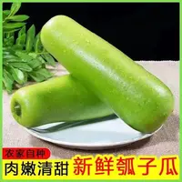 【顺丰包邮】农家自种汤务子葫芦瓜瓠瓜