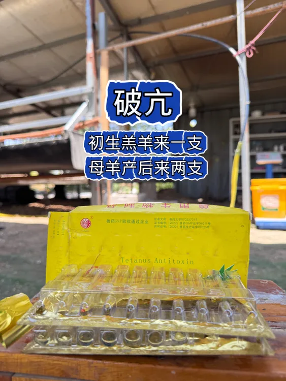 坡上疯亢独速（时希甄选）自己用的呀