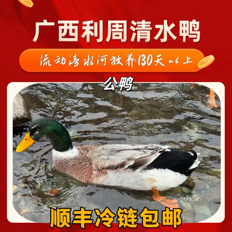 宰杀好广西青头鸭清水鸭土公鸭放养135天净重有4.5斤一5斤左右