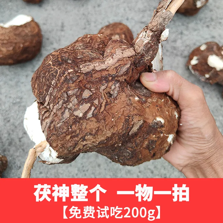 【直播间一物一拍】茯神整个贵州高山老树茯苓自然晾晒松根茯苓