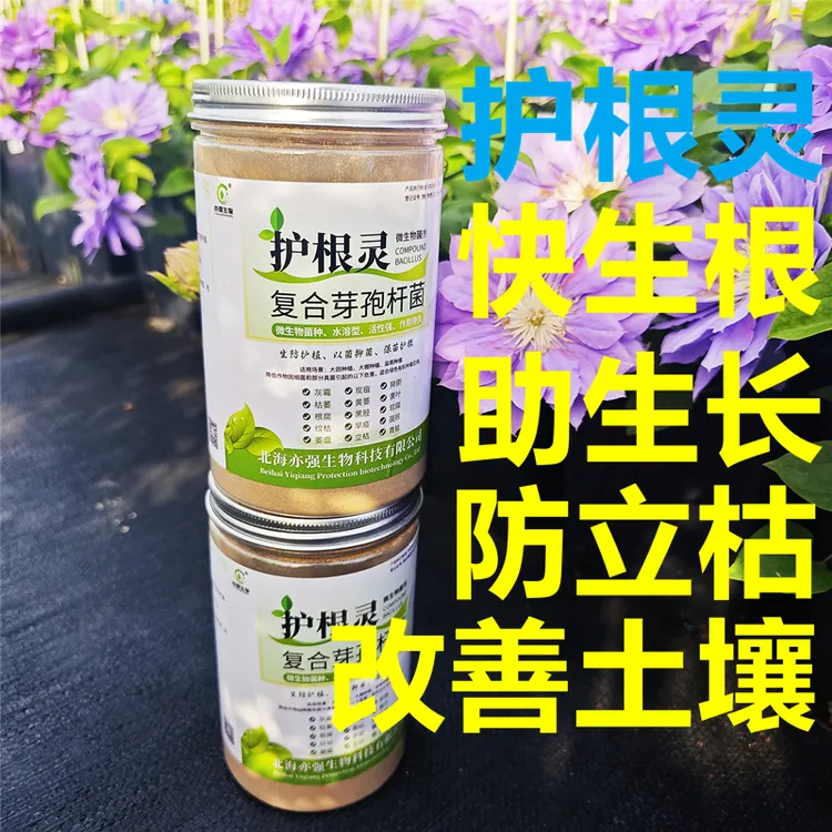 黄姐园艺护根灵复合型芽孢杆菌防立枯促多生根助营养吸收改良土壤