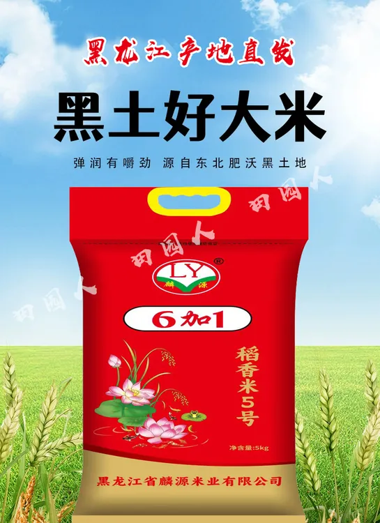 东北黑龙江新米软糯香甜中科发5产地直销绥化大米今年新米