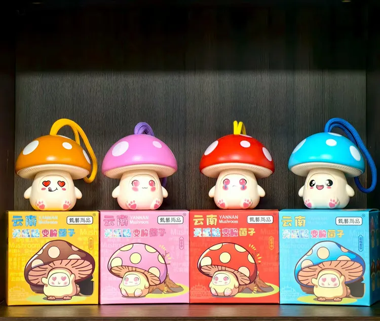 文化传承云南灵感菇-LZ