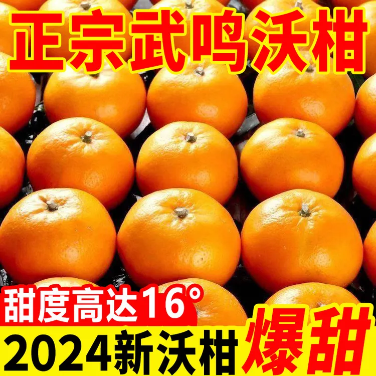 广西正宗武鸣沃柑新鲜上市爆甜皮薄多汁产地直发橘子桔子柑橘应季
