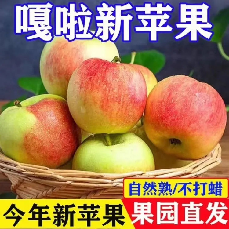 2025头茬陕西嘎啦苹果美味多汁脆粉两吃现摘现发2/4.5斤