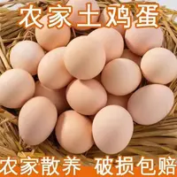 农家草鸡蛋土鸡蛋散养草鸡蛋