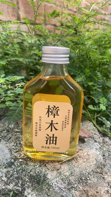 樟木油天然传统工艺蒸馏
