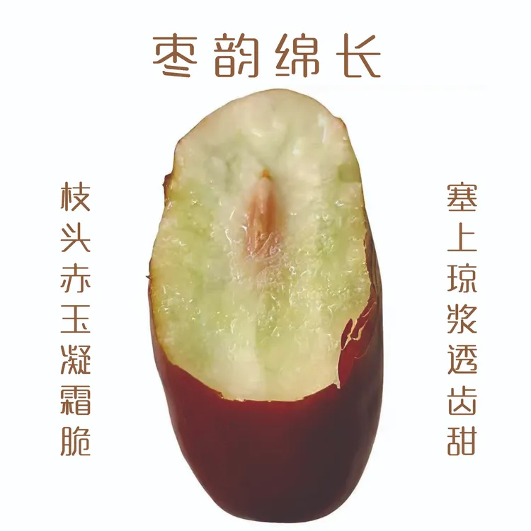 正宗宁夏灵武长枣新鲜当季水果现摘现发好吃脆甜鲜枣子红枣