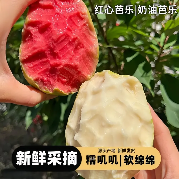 (冰淇淋口感)广西正宗红心白心芭乐红白双拼新鲜低糖水果现摘现发商品图