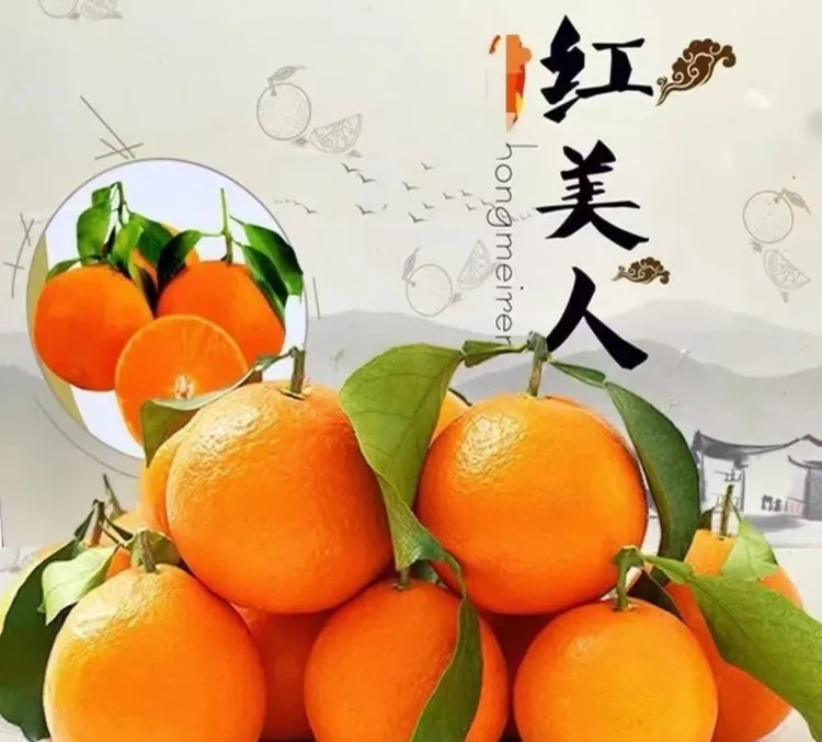 象山正宗红美人原产地直发尝鲜2.5斤试吃(表面或有瑕疵，不影响)