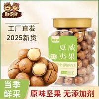 憨豆熊_新货夏威夷果罐装500g大颗粒奶香营养坚果T