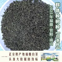 【管阳镇·思路和】白茶籽·2025年群体种小菜茶茶籽100g罐装