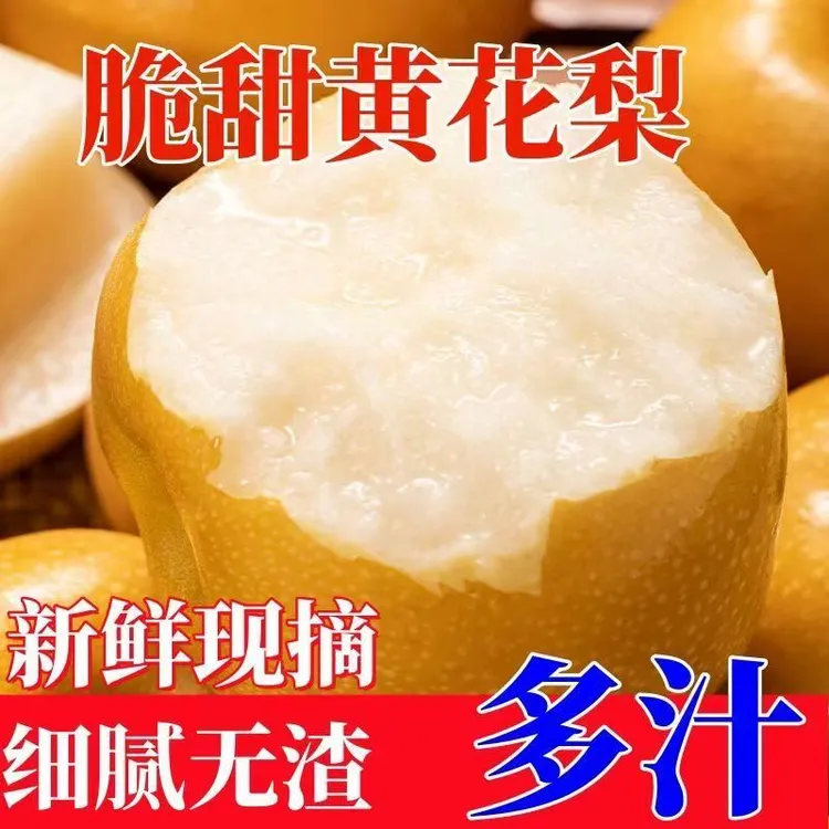 【现货】正宗黄花梨脆甜多汁新鲜水果酥梨薄皮梨子青皮非皇冠梨雪梨