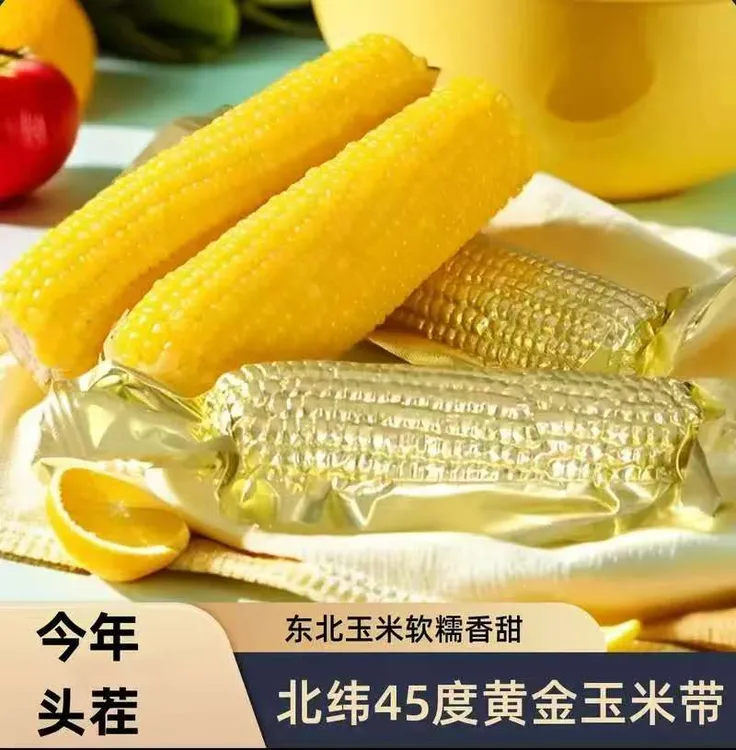 【金铝箔10大根绿色食品】东北黄糯玉米（可试吃两根）整箱6.5/7斤