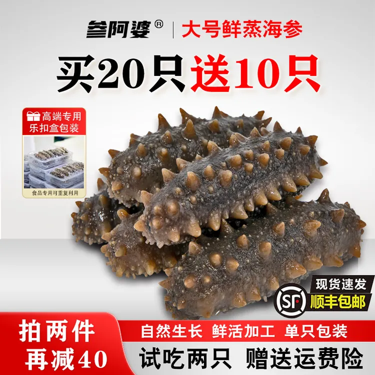 【参阿婆】大号鲜蒸即食海参开袋即食新鲜海刺参非干参 15只/盒