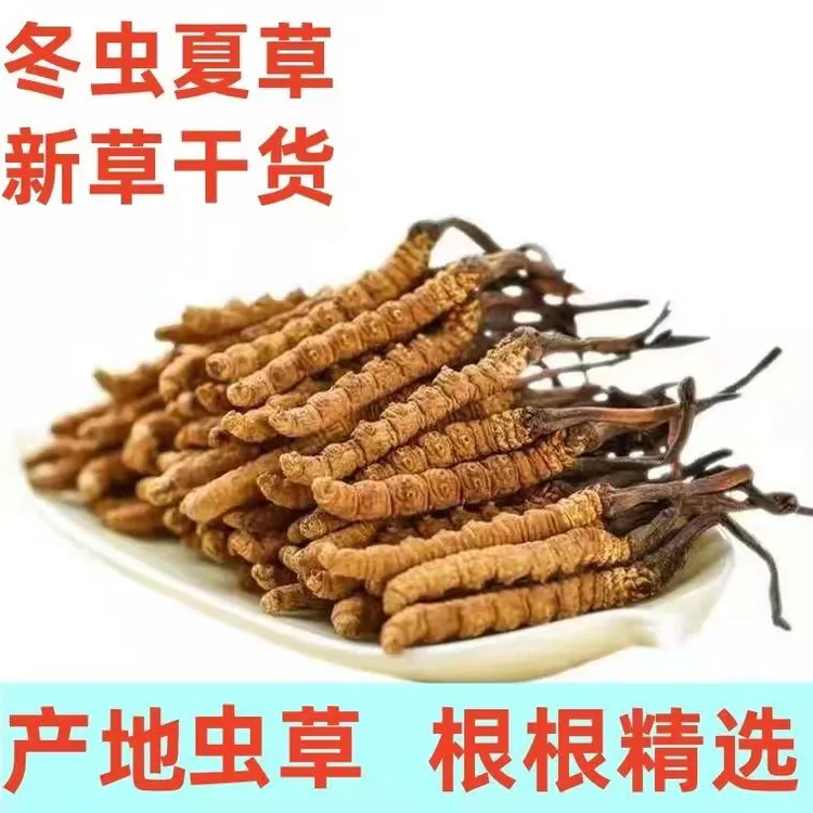 【福利】正宗藏区非那曲冬虫夏草精选品质高海拔整根干草自用走亲戚