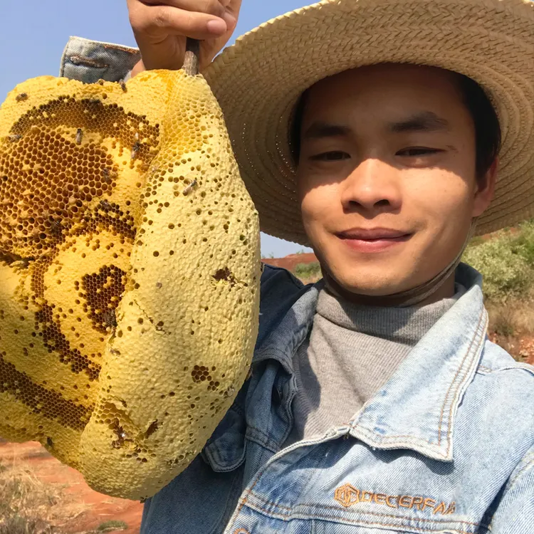 彝客【云南小挂蜜】蜂巢蜜野生蜜嚼着吃 纯正天然食用百花蜜