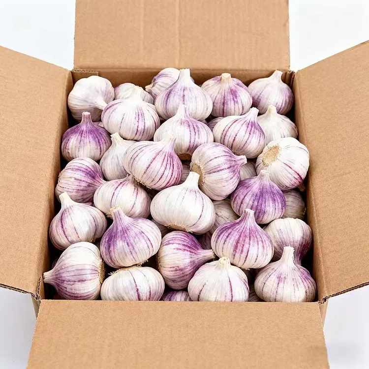 5斤特大新干蒜】蒜 大蒜 干大蒜 紫白皮蒜 农家蒜 辛辣足 蒜头批发