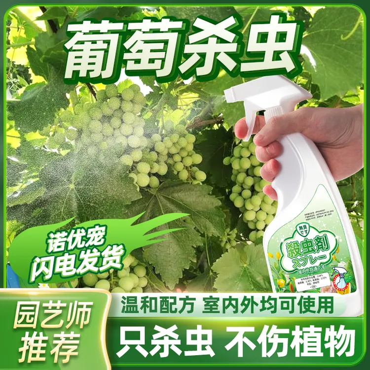 打葡萄树专用打虫药杀虫剂虫药除虫用药防虫驱虫治萄葡钻心非杀菌