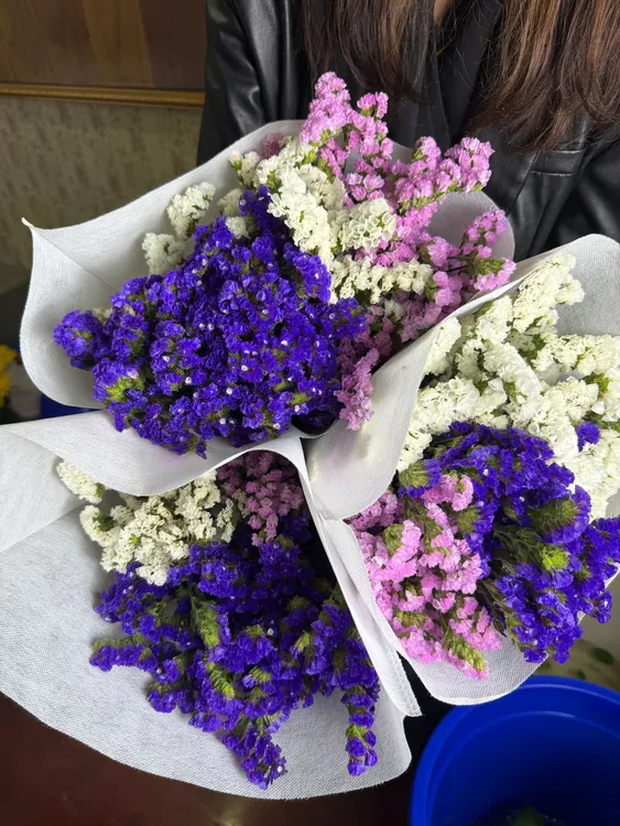 卓拉鲜花-云南空运勿忘我干花