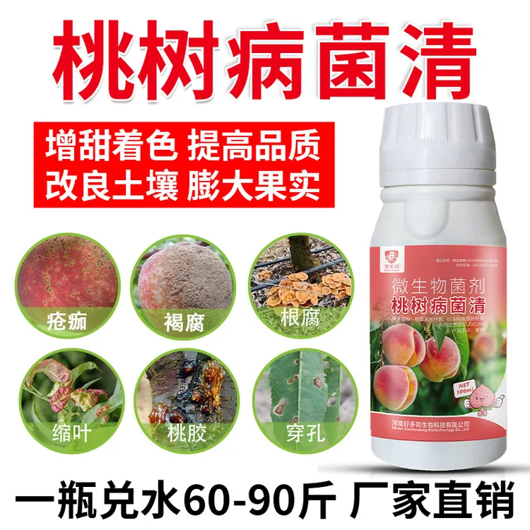 桃树病菌清专用桃树流胶穿孔卷叶炭疽疮痂灰霉提质增收微生物菌剂