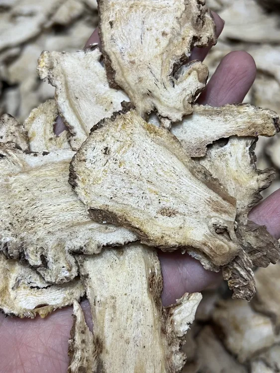 当归头  甘肃无硫当归头 中药特产