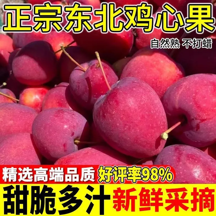 东北鸡心果现采现发当季特产新鲜水果酸甜多汁新鲜包邮