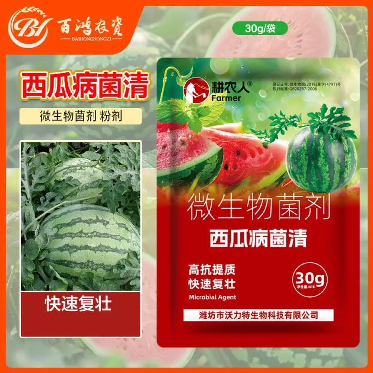  科沃华西瓜病菌清复合微生物菌剂西瓜黄瓜甜瓜瓜类专用叶面肥