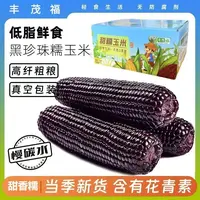 【整箱8根可试吃2根】25年头茬新鲜黑玉米蓝莓珍珠糯玉米真空锁鲜