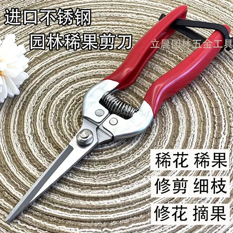 不锈钢稀果剪蔬果摘果剪剪果专用剪子柑橘葡萄火龙果剪花椒修枝剪